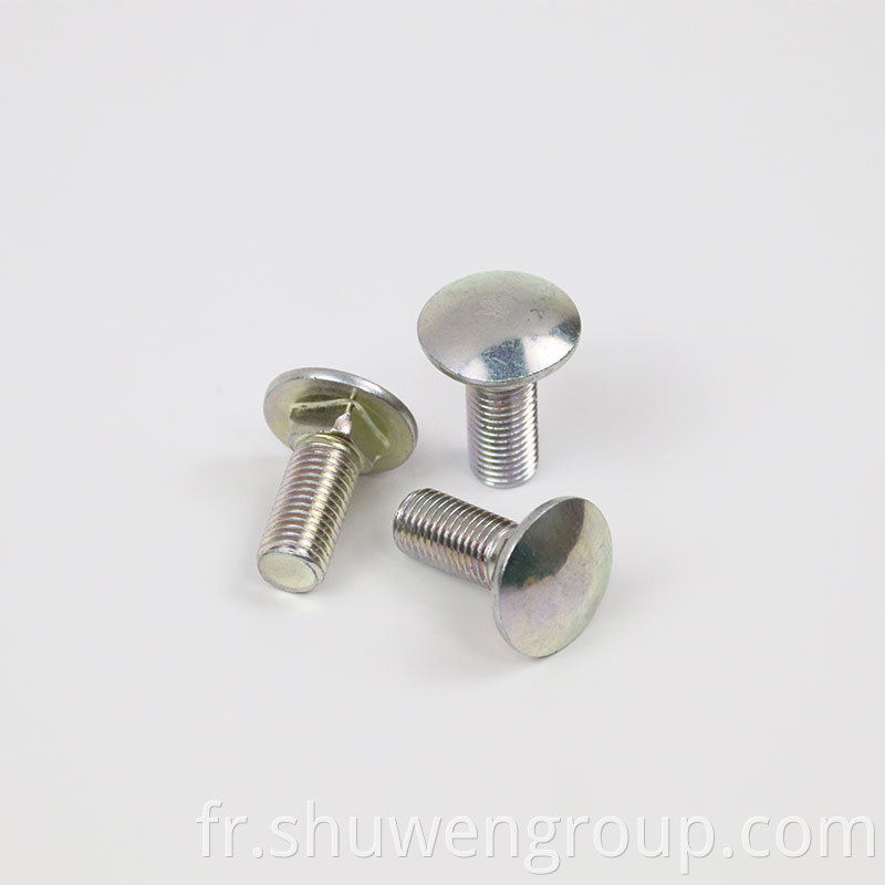 DIN603 Carriage Bolts